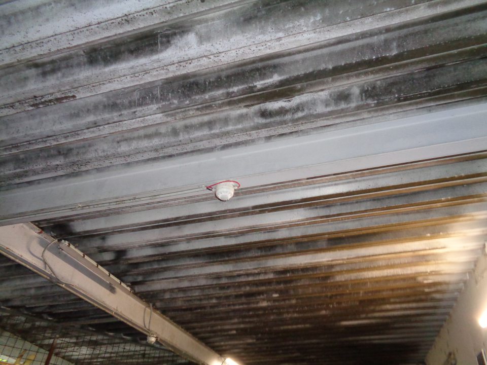 Stropy v časti príjmu potravín so súvislou vrstvou čiernej špiny