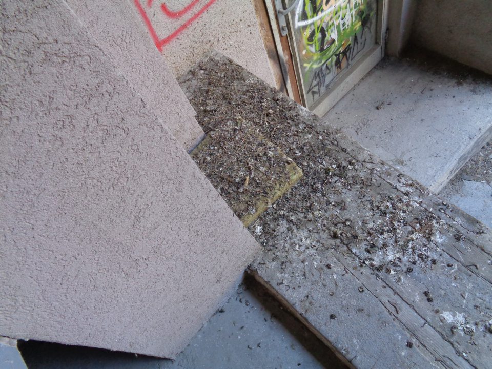 Príjmova rampa a okolie príjmovej rampy znečistené špinou, ohorkami z cigariet, kartónmi trusov vtáctva