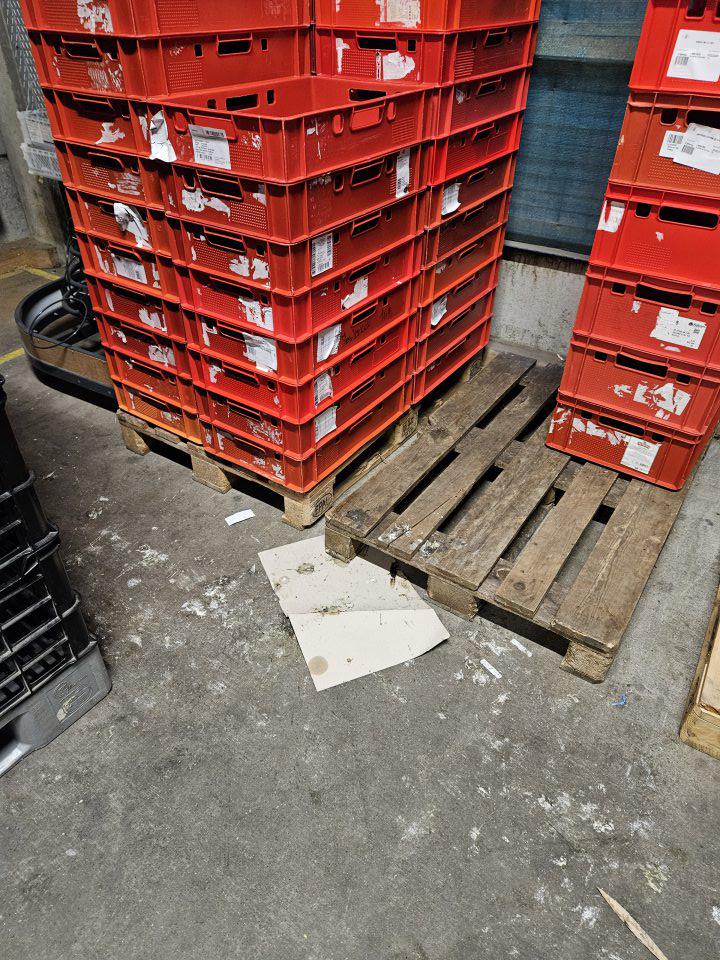 Znečistená príjmová rampa - nános trusu od vtákov.