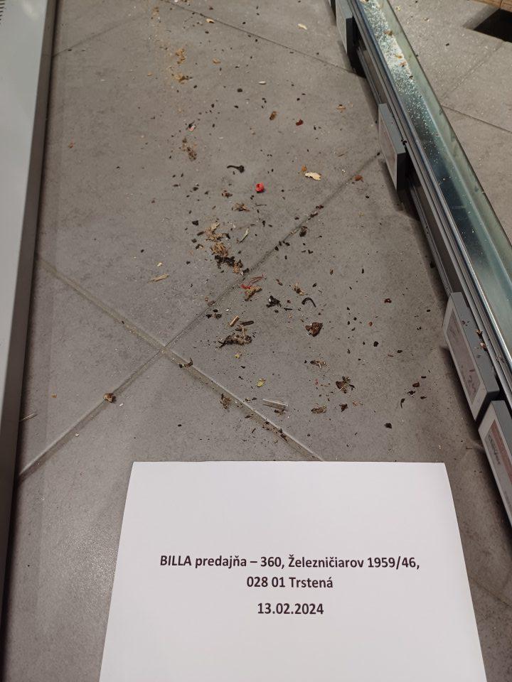Výskyt trusu hlodavcov na predajne ploche predajne.