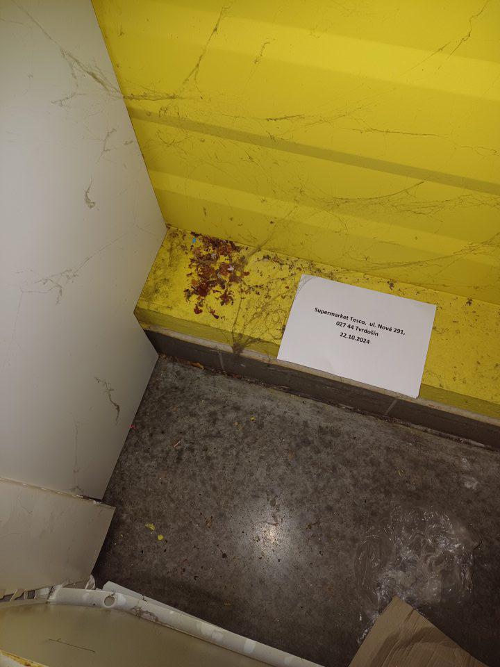 Hygienické nedostatky