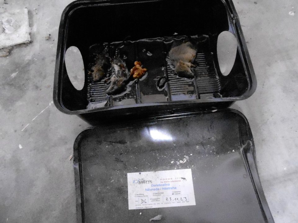 Výskyt uhynutých hlodavcov v skladovom priestore.