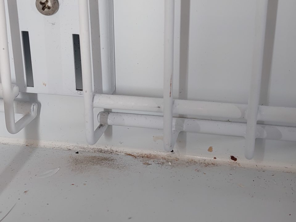 V predajných priestoroch v mraziacom boxe s uloženými mrazenými rybami v spodnej časti v rohu znečistenie s výskytom plesne.