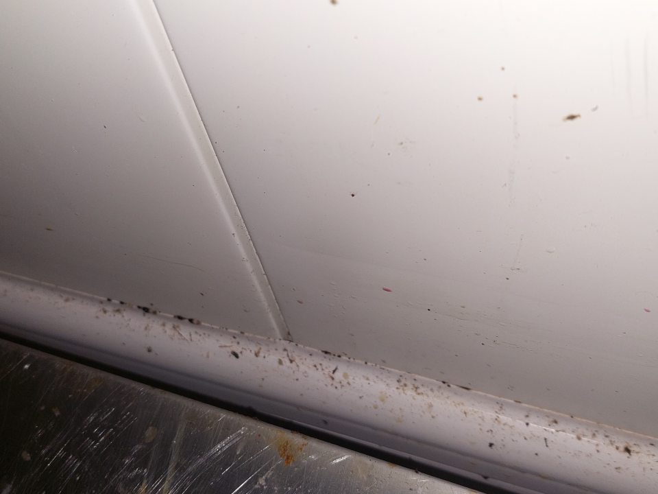V skladových priestoroch v chladenom sklade ovocia a zeleniny znečistenie s výskytom plesne na zadnej stene a spodnej lište.