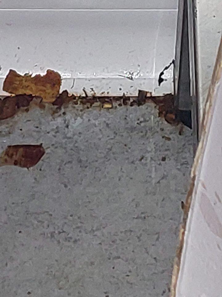 V skladových priestoroch v chladenom sklade mäsa znečistená podlaha pri stene medzi regálmi.