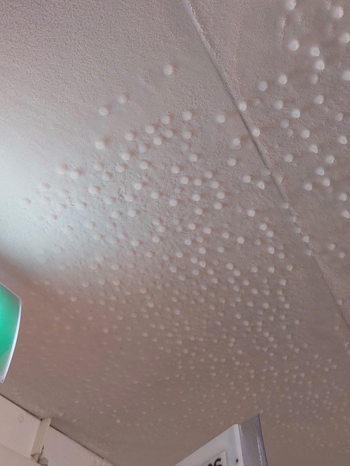 V skladových priestoroch v mraziacom boxe s uloženými mrazenými pekárskymi výrobkami určenými na dopekanie namrazený kondenzát na strope mraziaceho zariadenia.