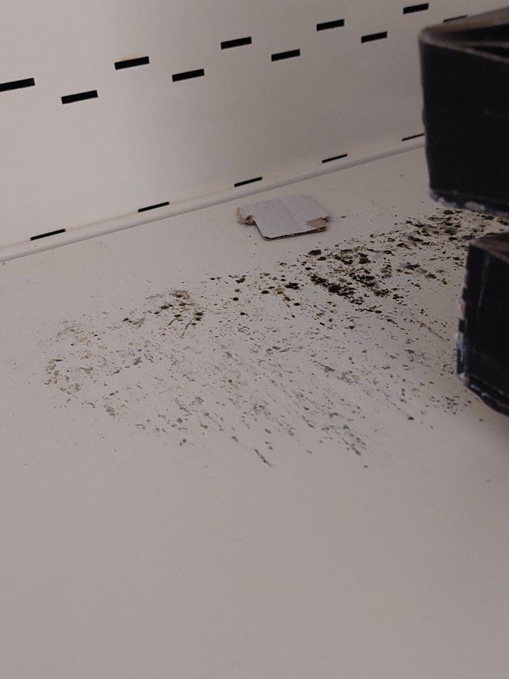 V predajných priestoroch v chladiacej vitríne s uskladnenými mliečnymi výrobkami znečistená úložná plocha s výskytom plesne.