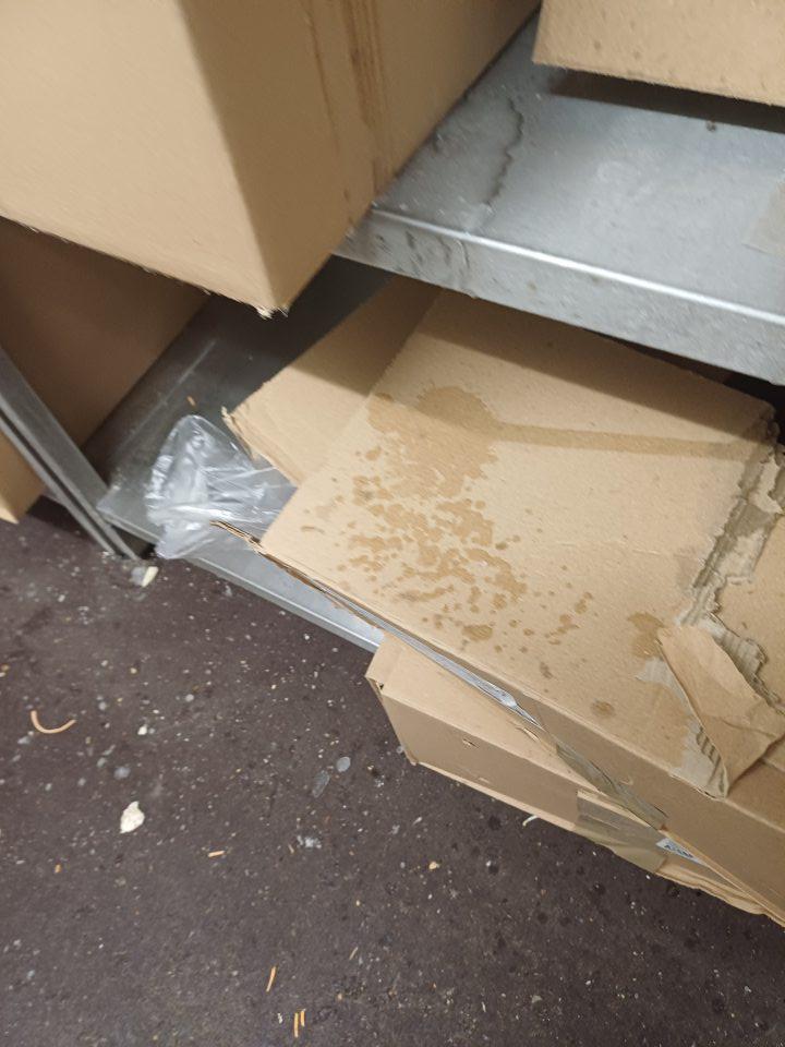 V skladových priestoroch v mraziarenskom sklade pečiva v mraziacom boxe znečistená podlaha, námraza na mraziacej jednotke, kvapkajúci kondenzát na uložený tovar.