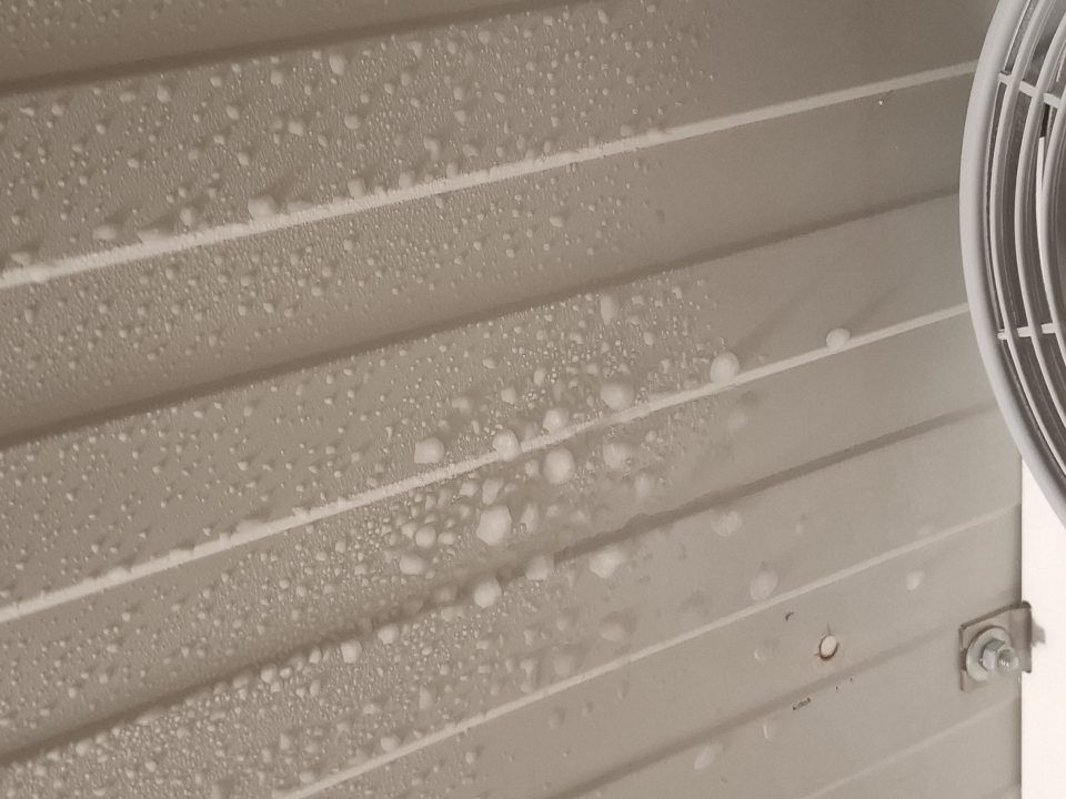 V mraziacom boxe s uskladnenými mrazenými pekárenskými výrobkami určenými na dopekanie - výskyt kondenzátu na strope mraziaceho boxu.