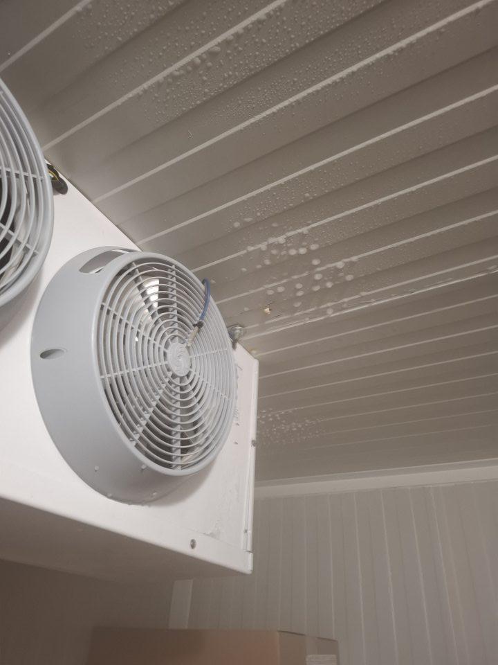 V mraziacom boxe výskyt kondenzátu na strope mraziaceho boxu.