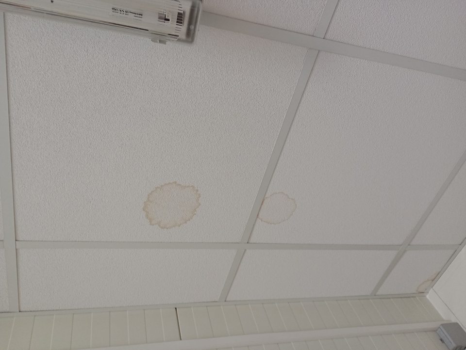 Zistené zatečené stropné kazety v šatni a v kancelárii skladu mäsovej výroby