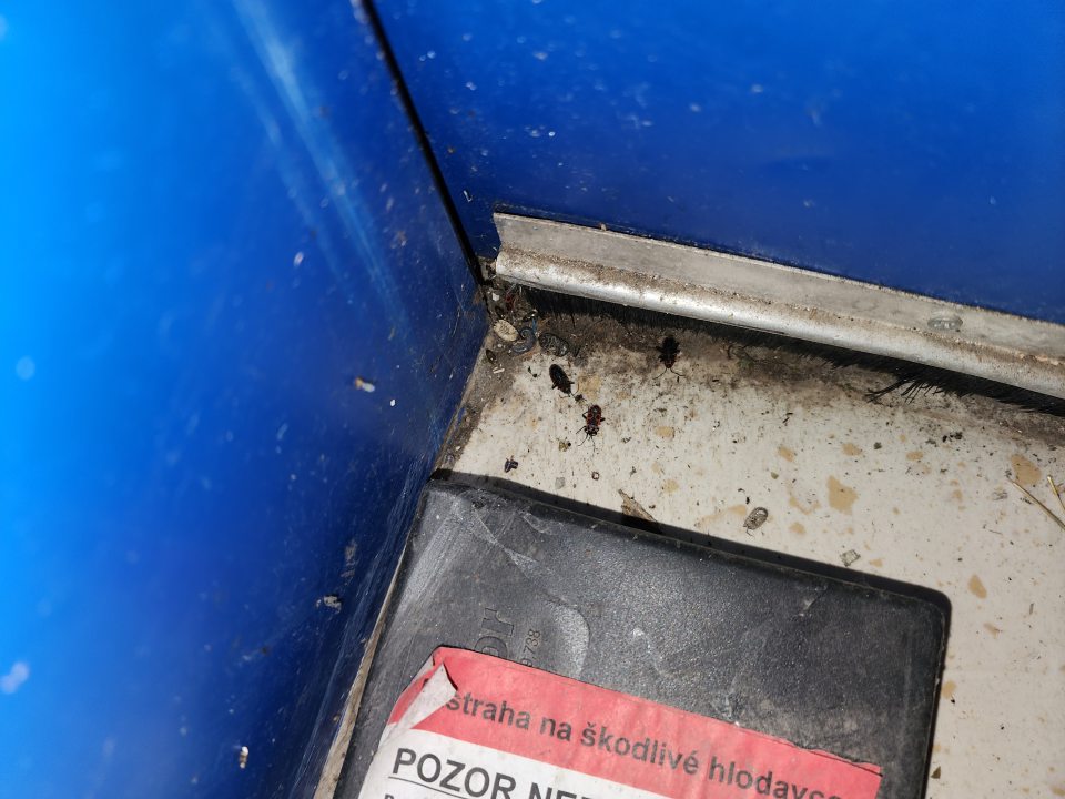 Výskyt živého a uhynutého hmyzu, zaprášená deratizačná stanička, znečistená podlaha v rohu.
