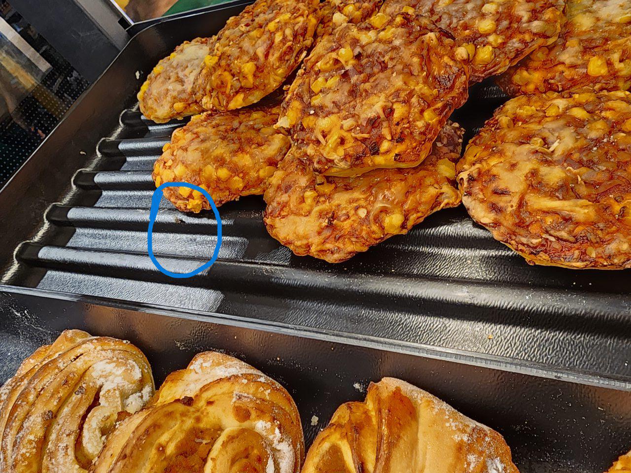 Výskyt lietajúceho hmyzu.