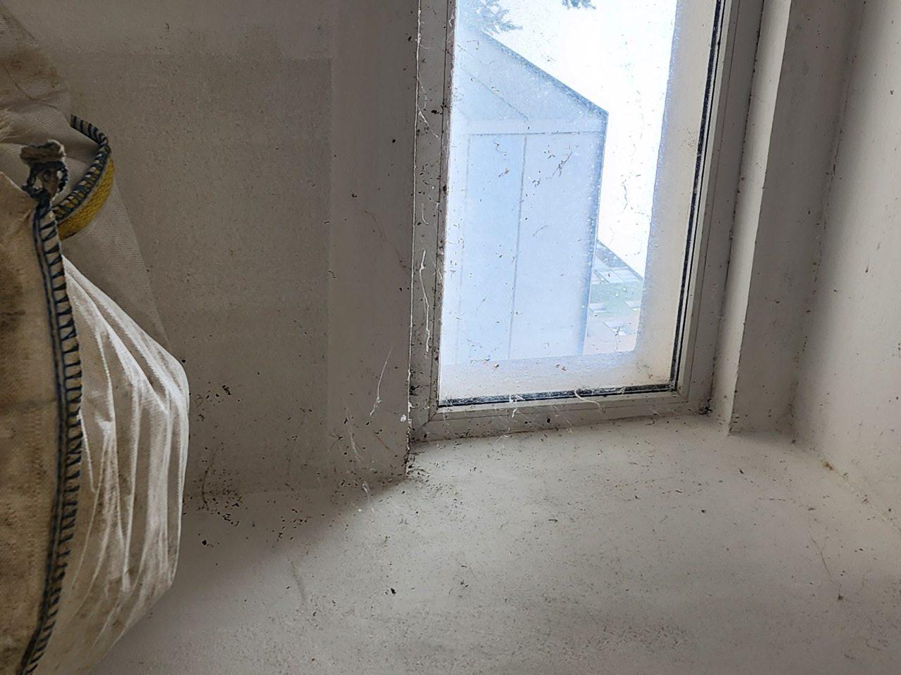 Výskyt pavučín na stene v sklade vratných obalov.