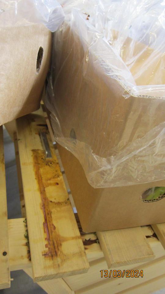 Znečistené regále na ovocie a zeleninu