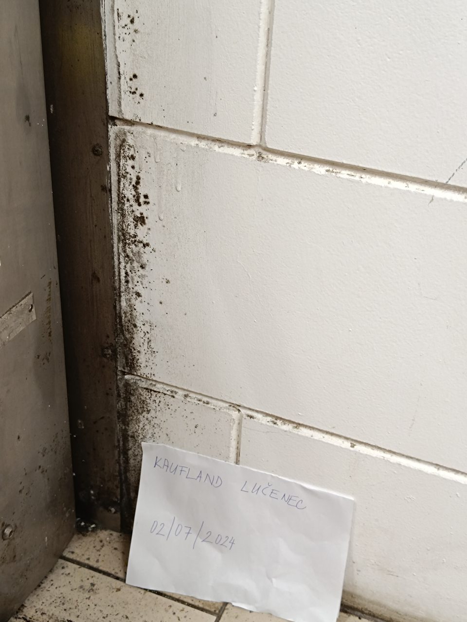 Výskyt plesne pri dverách na vstupe do chladiarenského skladu