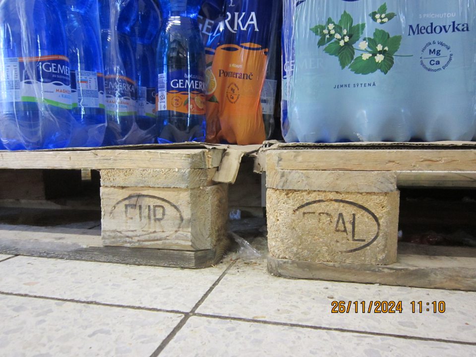 Znečistená podlaha nánosmi prachu, nečistotami a zbytkami obalového materiálu v priestore pod paletami s balenými minerálnymi vodami  na predajnej ploche.