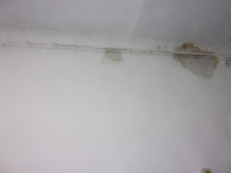 Poškodená hygienická maľba steny a stropu v časti prevádzky – balenie knedlí.