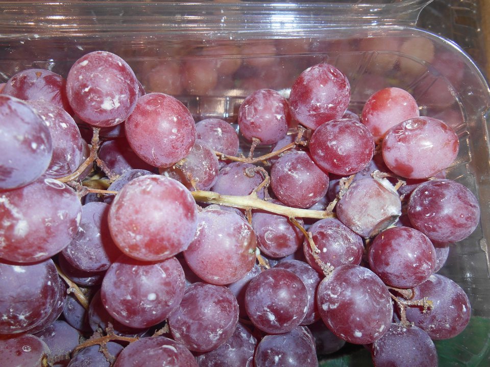 Predaj potraviny nevhodnej na ľudskú spotrebu „ružové hrozno stolové bezjadierkové 500 g“ s výskytom hniloby a známok plesne na jednotlivých bobuliach.