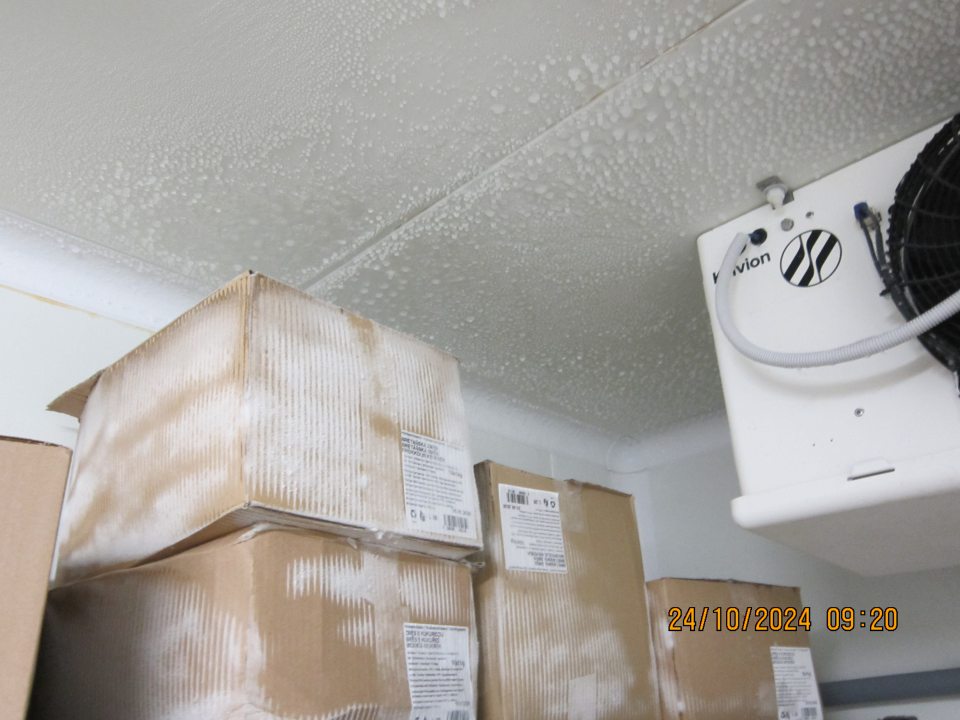 Nadmerná námraza na strope a na kartónoch s hlbokozmrazenou zeleninou v mraziarenskom sklade pečiva v skladovacej časti prevádzky.   