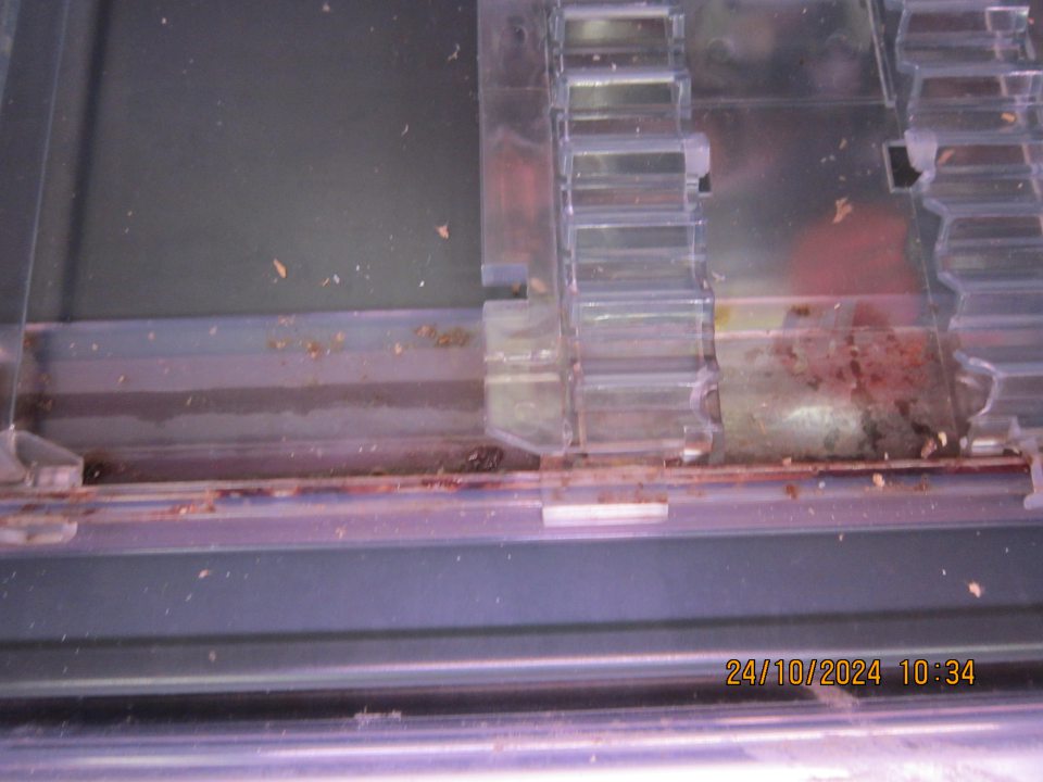 V chladiarenskej vitríne určenej na uchovávanie baleného mäsa na vrchnom regále pod plastovými lištami  silné znečistenie organickými nečistotami a zatečenou, zaschnutou tekutinou z obsahu balení.