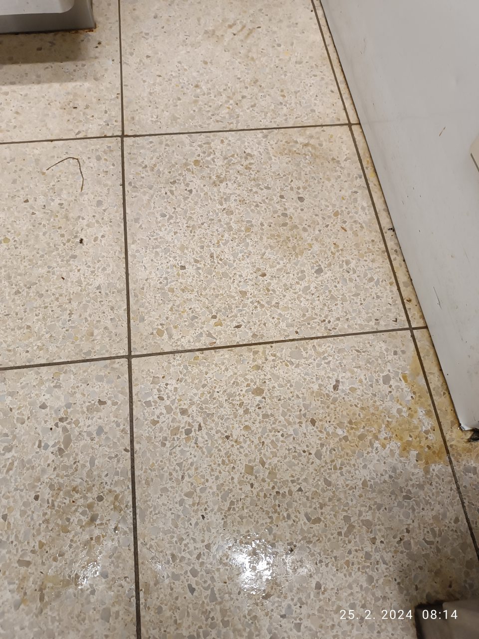 V oddelení dopekania okolo pece a mraziaceho zariadenia stojatá voda na podlahe.
