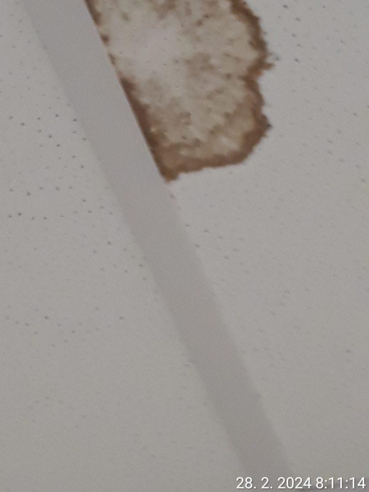zatečený strop na WC