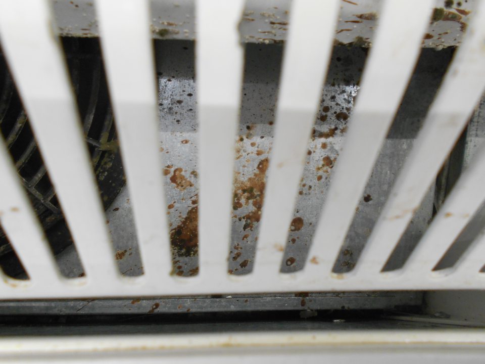 Pleseň , korózia, voľne tečúci kondenzát vody pod mriežkami chladiacich vitrín na mäsové a mliečne výrobky