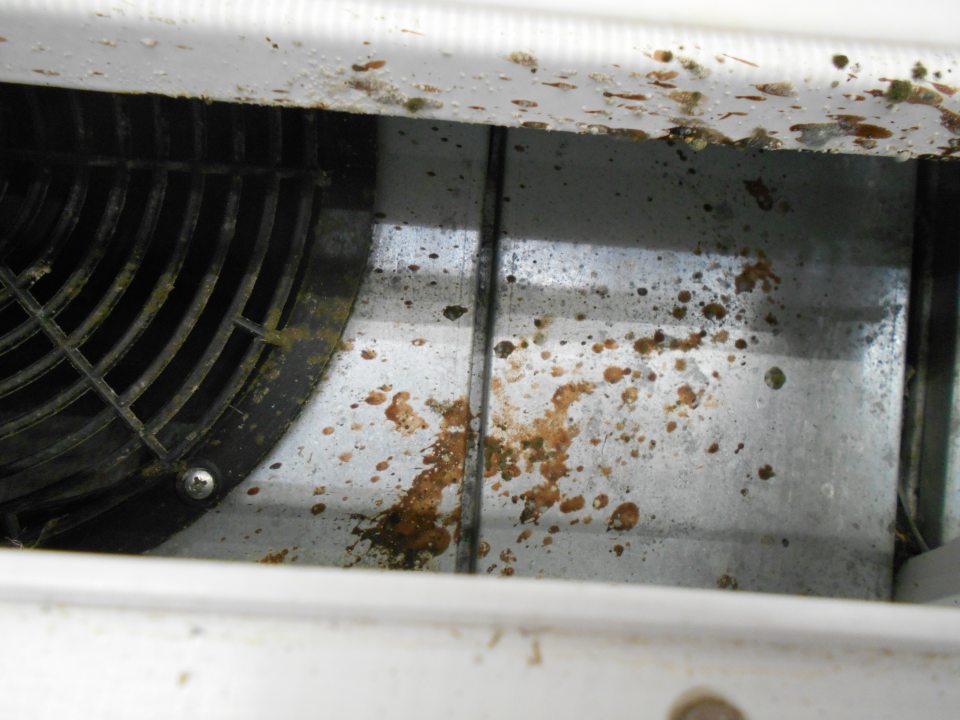 Pleseň , korózia, voľne tečúci kondenzát vody pod mriežkami chladiacich vitrín na mäsové a mliečne výrobky