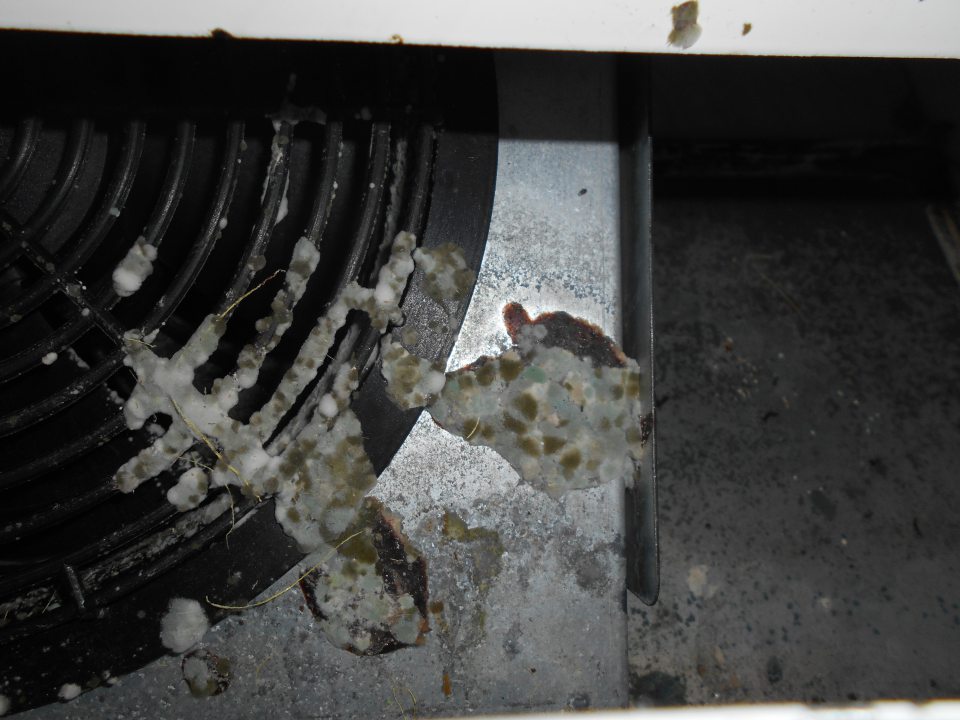 Pleseň , korózia, voľne tečúci kondenzát vody pod mriežkami chladiacich vitrín na mäsové a mliečne výrobky