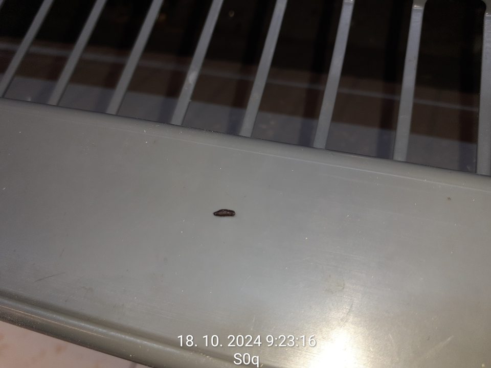 trus hlodavcov na chladiacom zariadení predajnej plochy