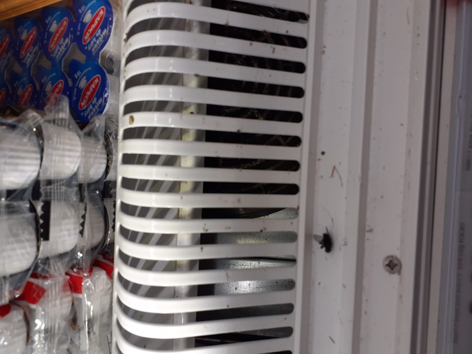 Chladiace vitríny s predávanými chladenými potravinami (mliečne výrobky, lahôdkárske výrobky, potraviny rastlinného pôvodu) umiestnené na predajnej ploche znečistené v spodnej časti s mŕtvym hmyzom.