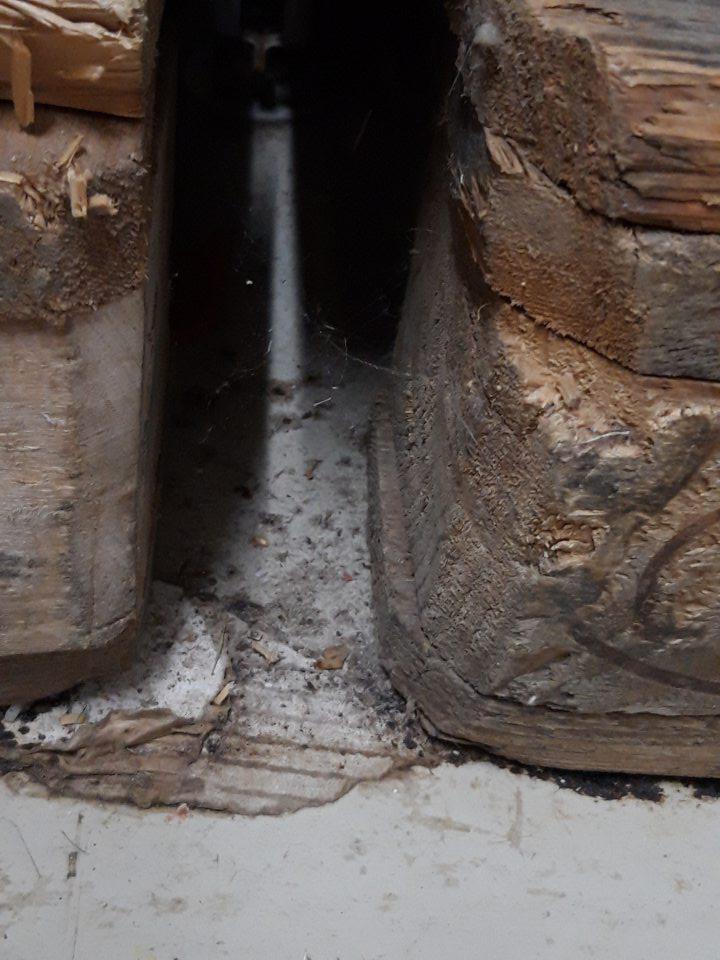 Nedostatočná hygiena skladovania.