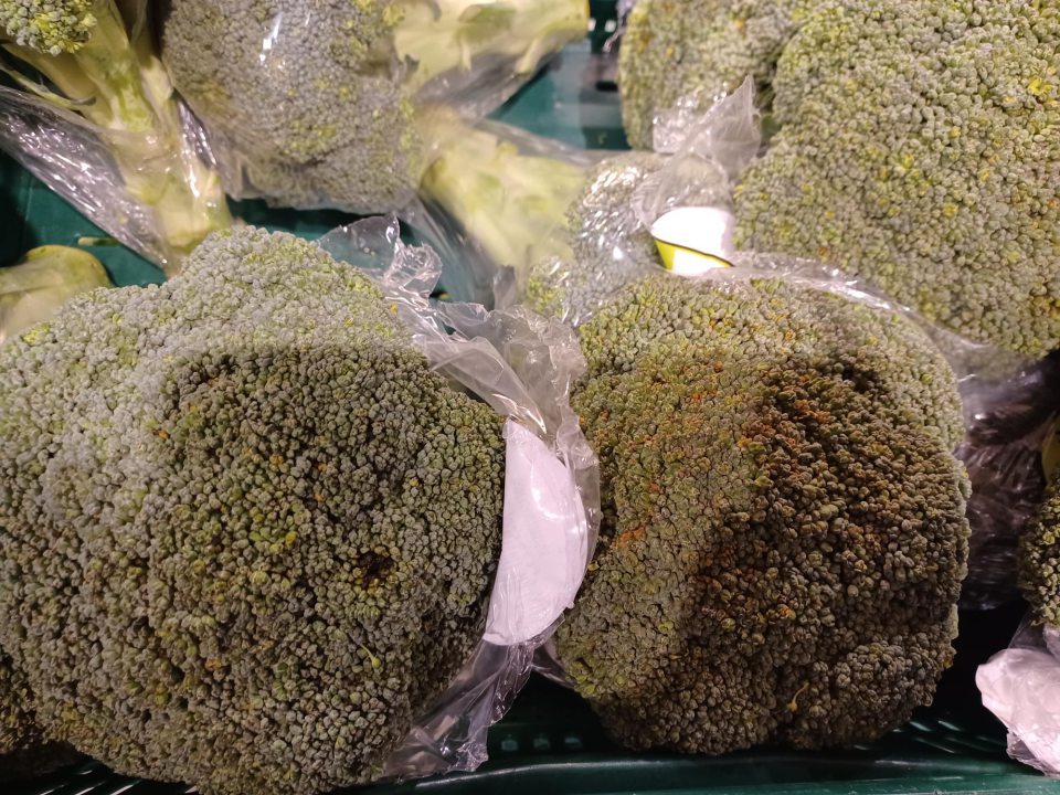 Brokolica – súkvetia boli silno rozkvitnuté až nažltnuté, zvädnuté so začínajúcim hnilobným procesom.
