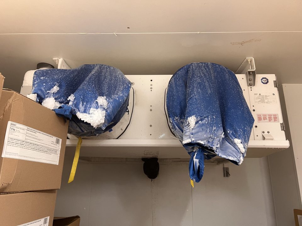 V mraziacom boxe pečiva zistená prítomnosť hrubej vrstvy námrazy a kvapkajúceho kondenzu na mraziacom agregáte a v časti vstupných dvier pri plastových lamelách, námraza a kondenz sa nachádzali aj na kartónových obaloch hlbokozmrazených potravín, zistená znečistená podlaha zastaralou špinou a námrazou.