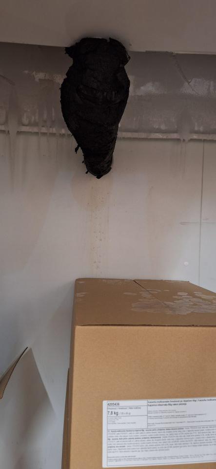 odkvapkávajúci kondenz na krabice s polotovarmi