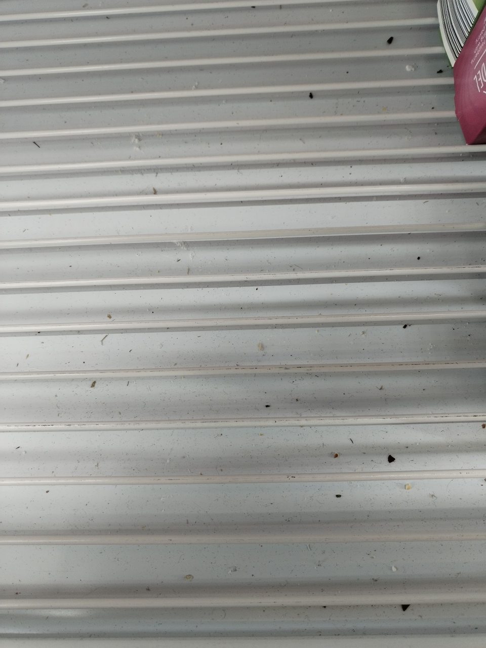 Znečistenie priestorov pod mriežkou v mraziacich boxoch určených na skladovanie mrazenej zeleniny a zmrzliny