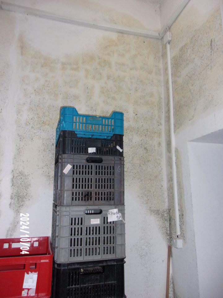 V miestnosti na preberanie tovaru  zistená vlhká stena pokrytá výraznou plesňou čiernej farby.
