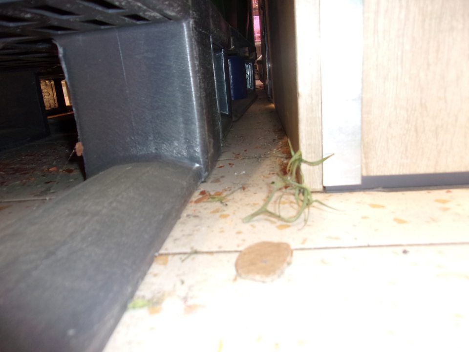 Znečistená podlaha na predajnej ploche