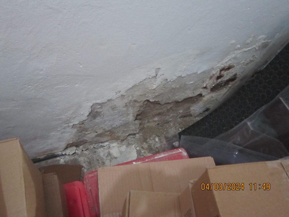 poškodená stena, opadávajúca omietka, prítomnosť plesne