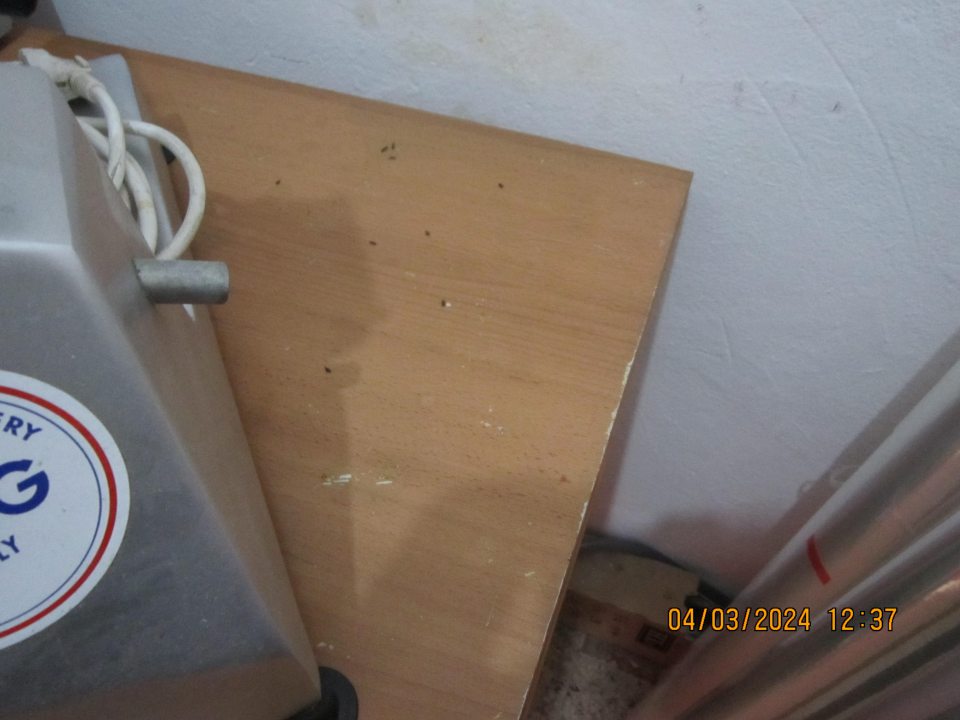 znečistená podlaha, výskyt trusu hlodavcov