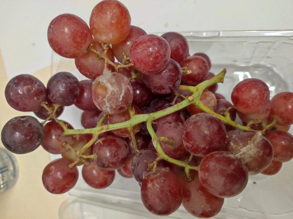 Predaj potravín s výskytom plesne, resp. hniloby