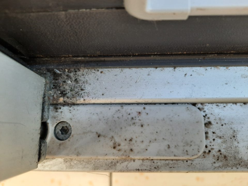 výskyt plesní na mraziacom zariadení na predajni