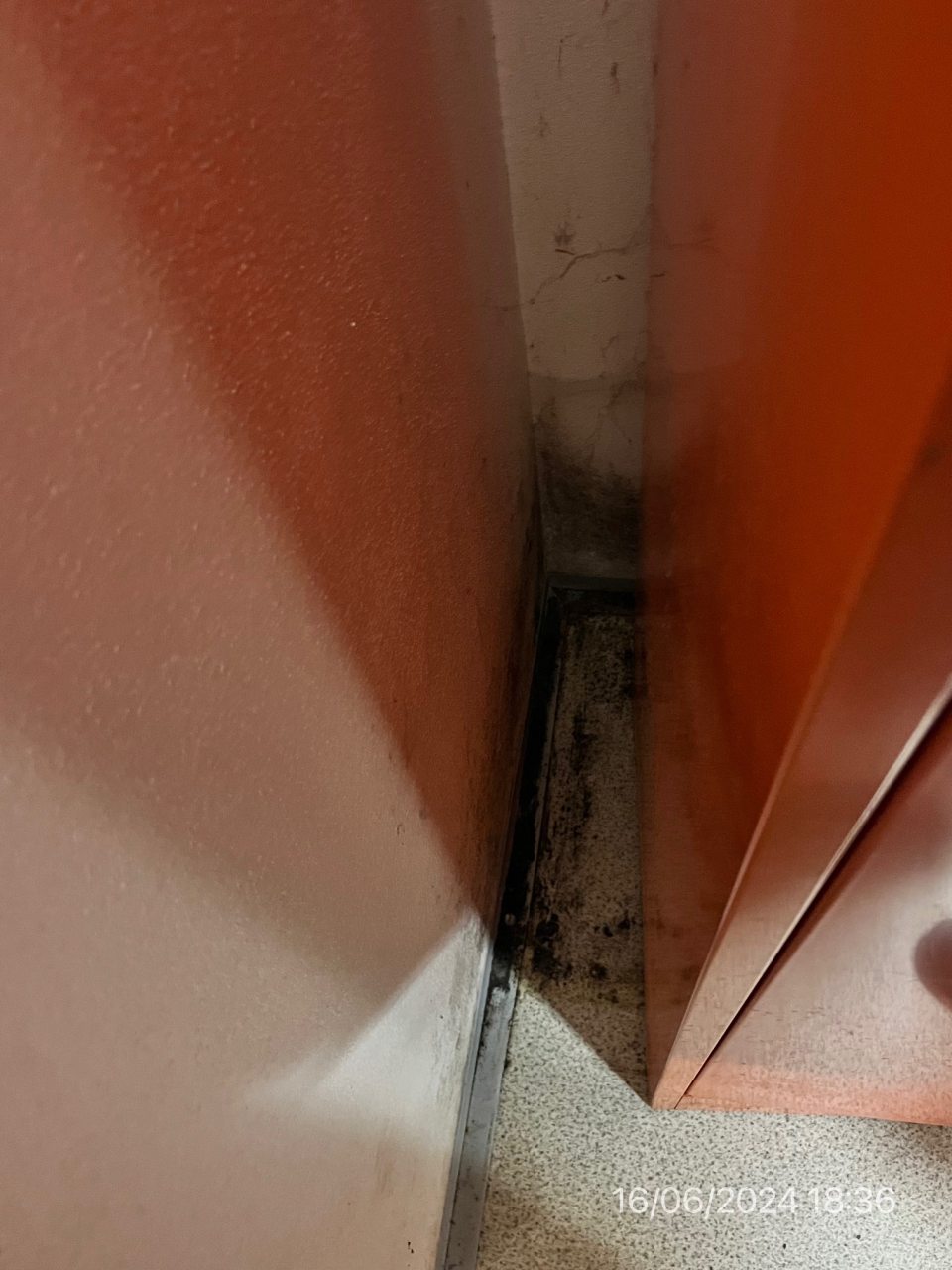 V ženskej šatni stena a podlaha hygienicky a technicky nevyhovujúca.