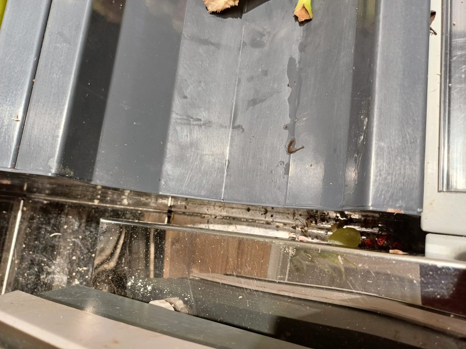 Na predajnej ploche priestor medzi regálom slúžiacim na vystavovanie a predaj banánov a váhou silne znečistený zvyškami predávaného tovaru, špinou, mechanickými nečistotami a obalovým materiálom.