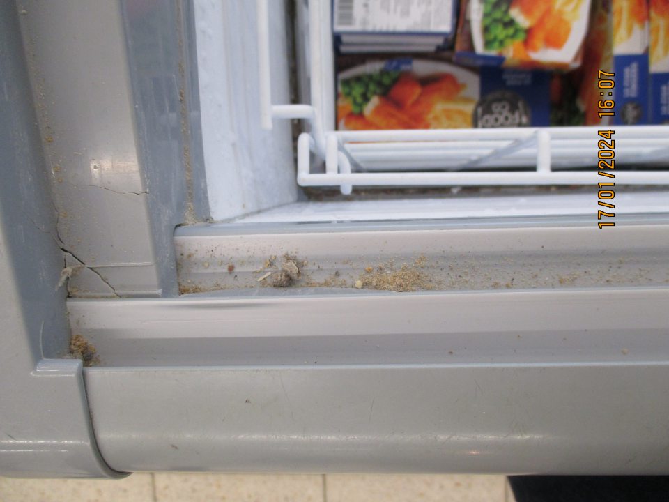 - na predajnej ploche, výskyt nečistôt a prachu na vonkajšej a vnútornej časti mraziarenských boxov s uskladnenými hlbokozmrazenými potravinami 