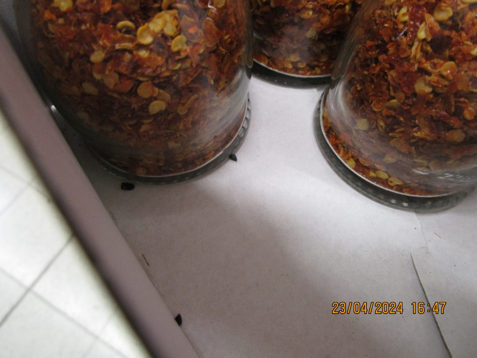 Na predajnej ploche výskyt myšiaceho trusu na kartóne s uloženým Čili Birds eye korením