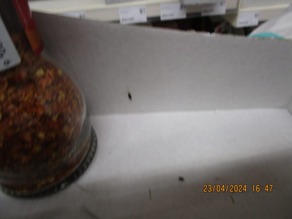 Na predajnej ploche výskyt myšiaceho trusu na kartóne s uloženým Čili Birds eye korením