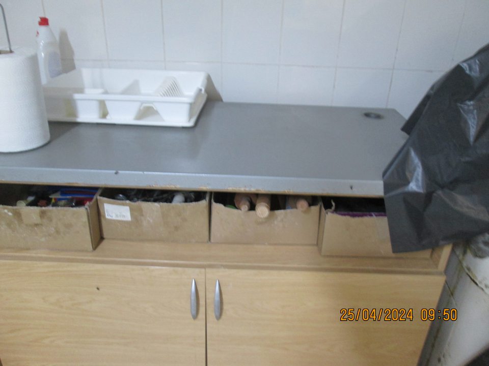 výskyt živých škodcov - mravcov vo výrobni šišiek na zariadení určenom na výrobu šišiek a na podlahe za uvedeným zariadením. výskyt živých škodcov - múch vo výrobni jemného pečiva na vyguľovacom zariadení, na skrinke na uloženie pomôcok a v priestore výrobne. výskyt živého lietajúceho aj uhynutého hmyzu na okne a parapete výdajného okienka v expedičnej časti