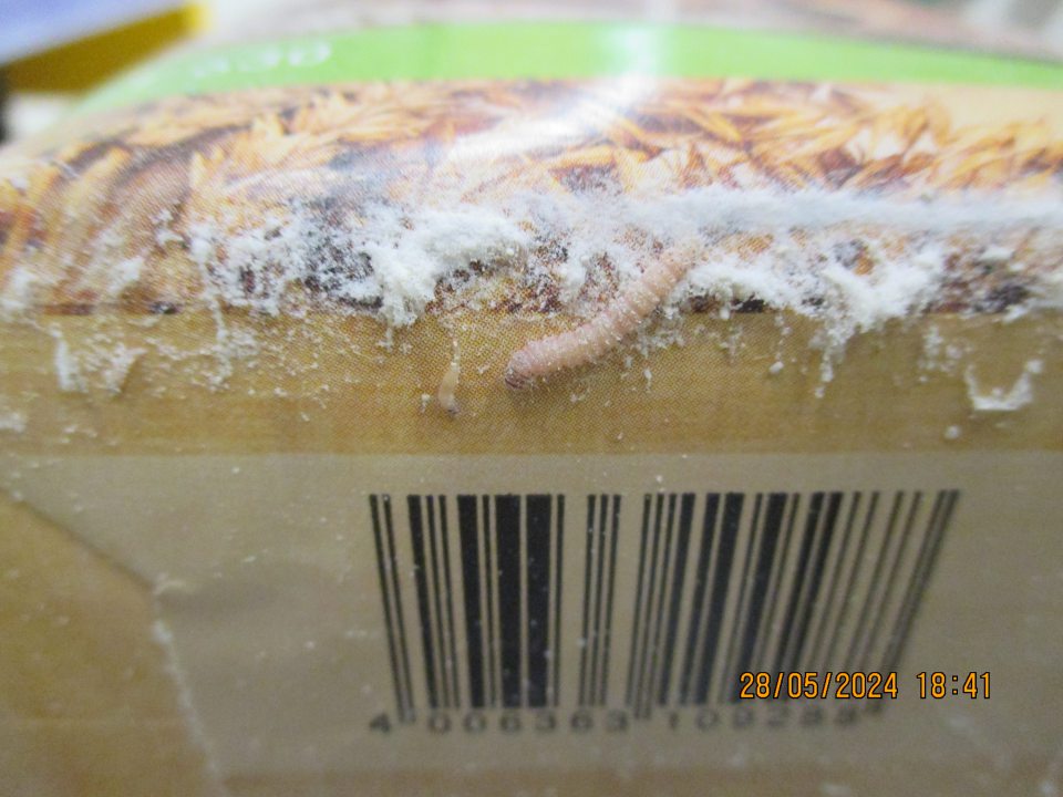 Na predajnej ploche v časti s uloženou spotrebiteľsky balenou múkou, bol zistený výskyt živých molí, juvenilných lariev a tiež zámotkov, ktoré sa nachádzali v rohoch obalu spotrebiteľských balení a tiež vo vnútri v krabiciach s uloženou múkou. Výskyt škodcov bol zistený aj v časti so zemiakovými lupienkami. Výskyt molí na viacerých miestach prevádzky svedčí o nedostatočnom výkone dezinsekcie a nálednej sanitácie.